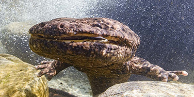 京都水族館の展示に企画協力させていただきました