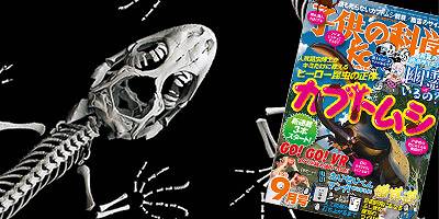 VR動画企画「GO!GO!VR」に掲載